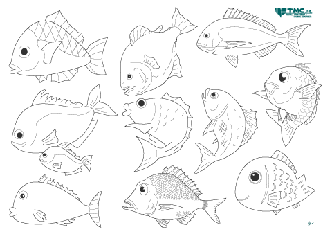 印刷可能 魚 塗り絵 幼児 小学生 中学生の無料知育教材 無料学習教材プリント