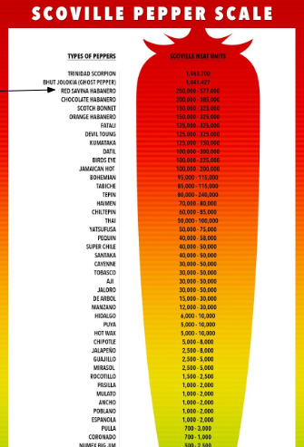 scoville pepper ventura99