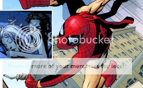 Homem-Aranha & Gata Negra