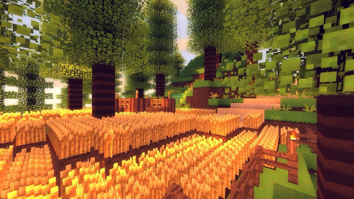 shaders 1018 avante