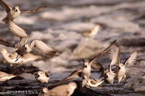Takeoff and Landing, Chaotic (2of3)
