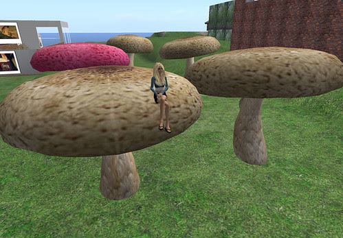 Mainland - Mushrooms