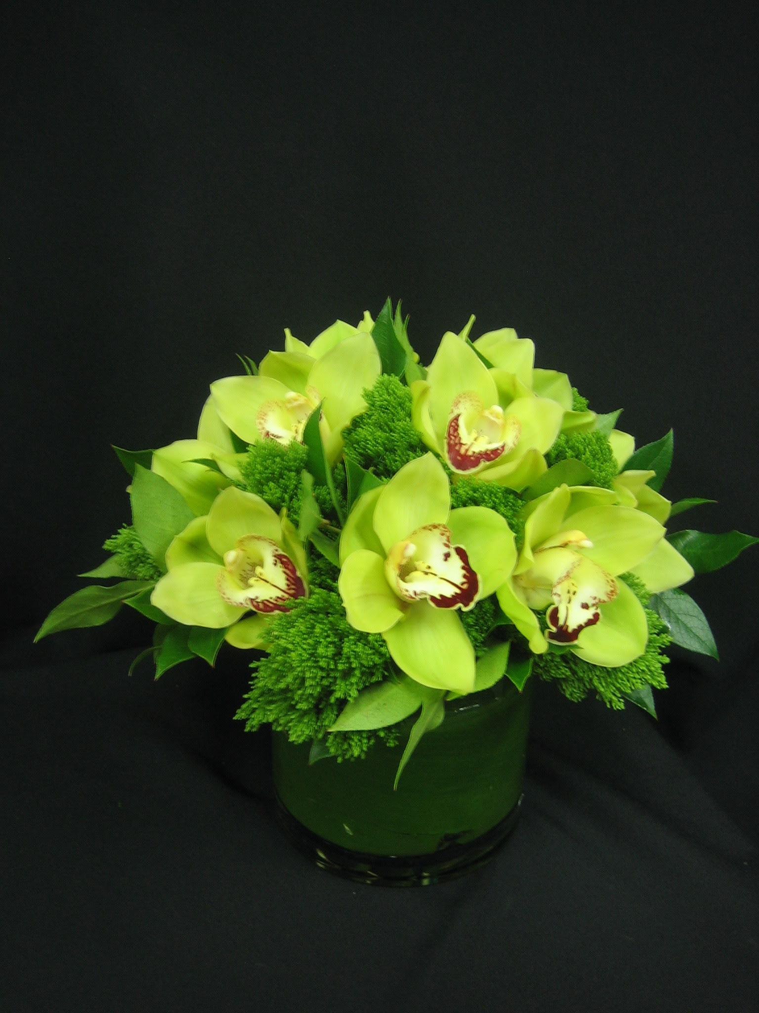 Eletragesi Cymbidium Orchid Centerpieces Images