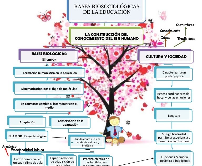 13 Mapa Mental Sobre El Baloncesto Most Complete Articulo