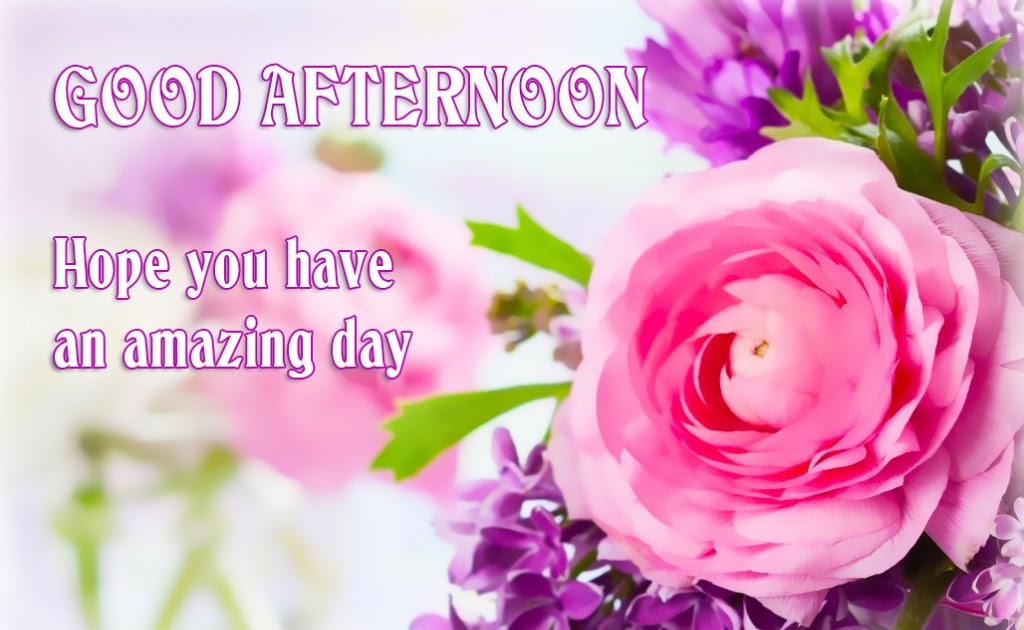 Greeting cards for every day: Good Afternoon - Online Pics, Photos ...