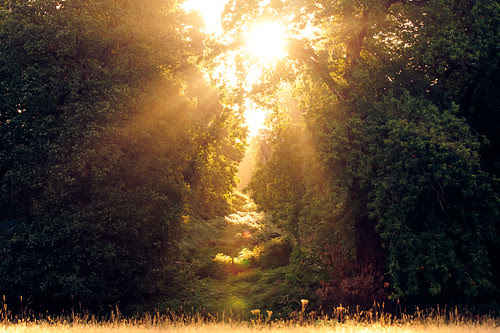 you fill me with inspiration you fill me with inspiration