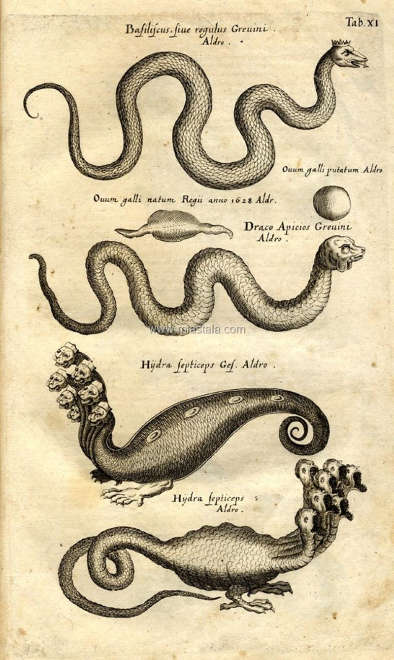 terrapapers.com-Serpentibus και Draconibus 1653 -Ph.D. Joannes Jonstonus (12)