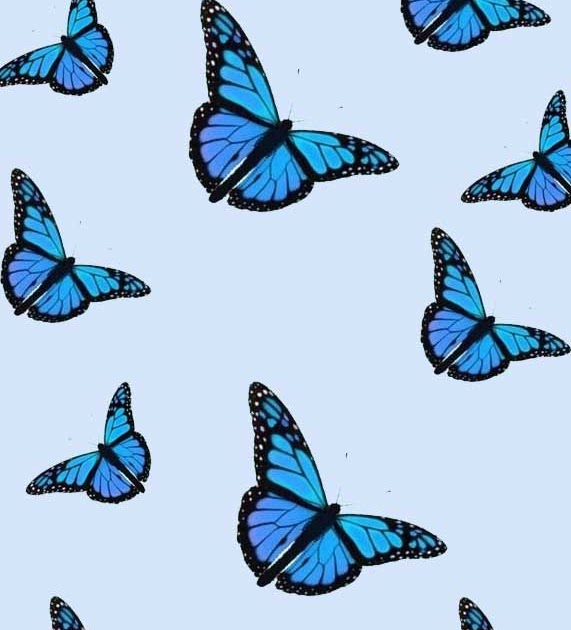 Featured image of post View 23 Iphone Aesthetic Tumblr Iphone Blue Butterfly Wallpaper