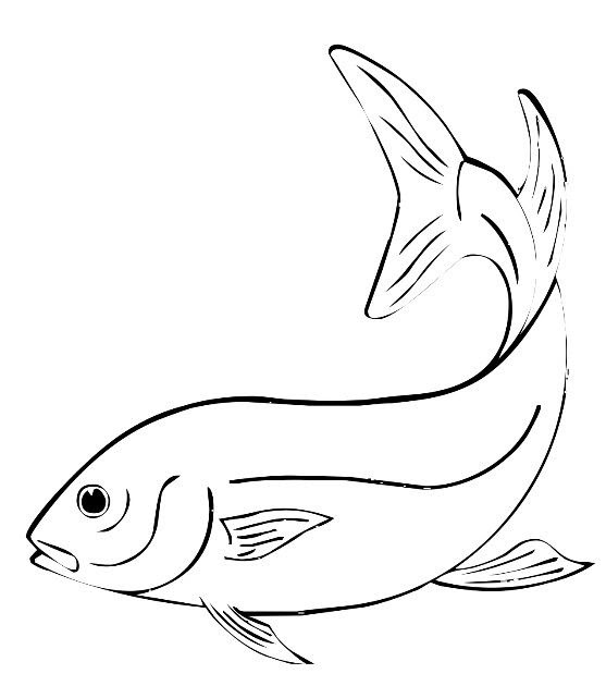 35+ Latest Fish Line Drawing | Creative Things Thursday