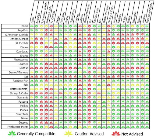 Compatibility Chart Truck Cap Size Chart - Automotive News