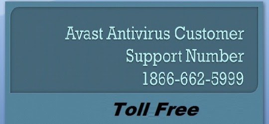 contact number for avast nexway