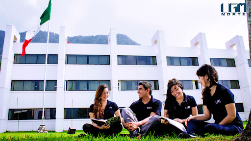 Licenciatura