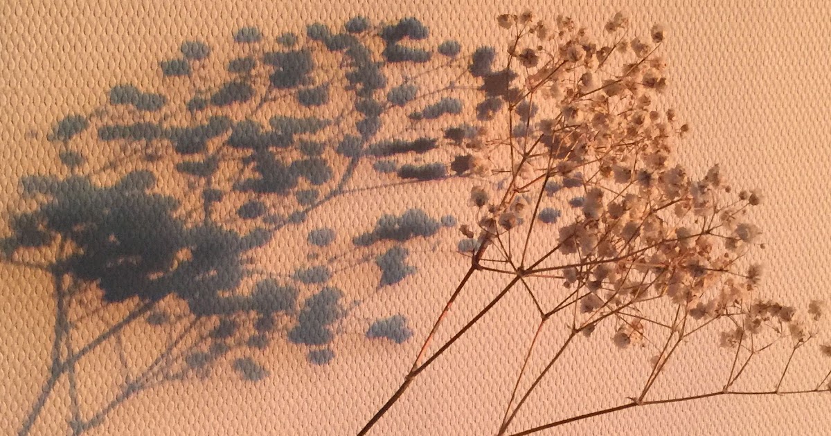 Aesthetic Background Coklat Tumblr / Gambar Aesthetic Warna Coklat