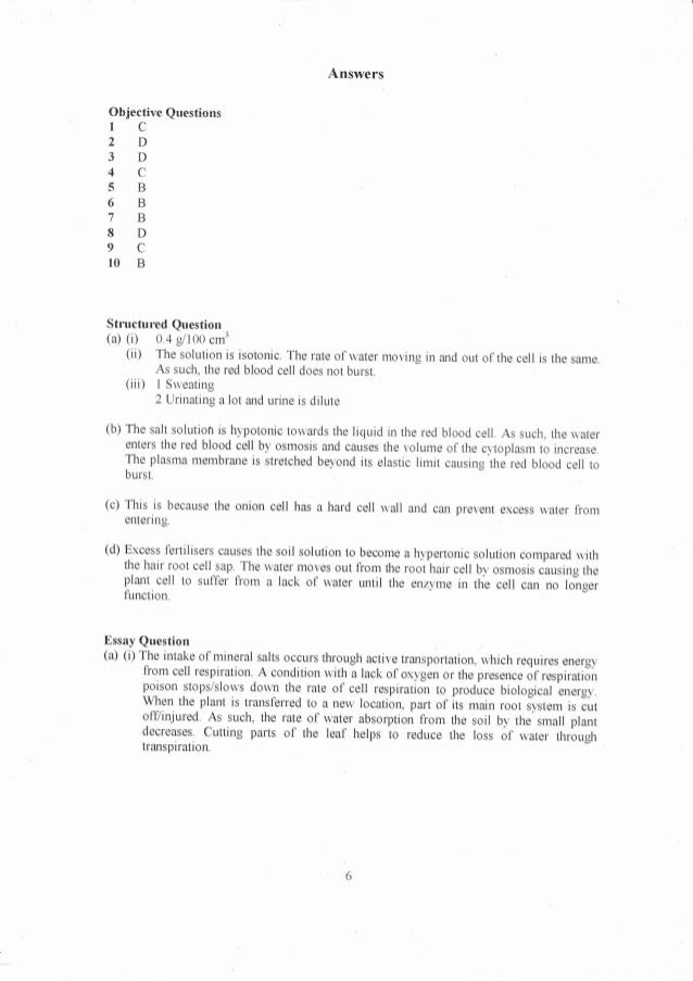 form 2 english essay question