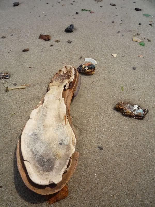 Avoiding Regret: Photo Essay: Low Tide at Dead Horse Bay