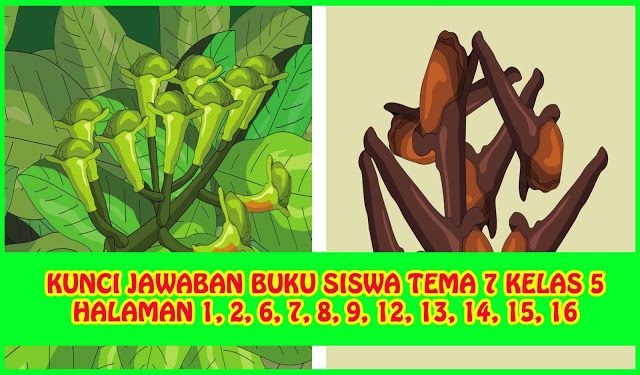 Kunci Jawaban Bahasa Jawa Smk - 10+ Kunci Jawaban Bahasa Jawa Smk Download Free