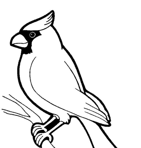 20 Birds Yellowhammer Coloring Pages - rafawsri