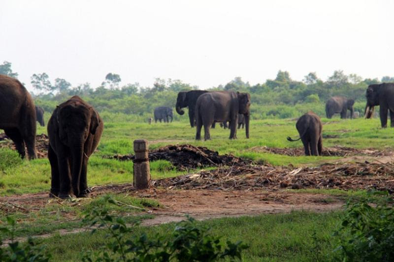 WISATA 34 Objek Wisata Unggulan di 34 Provinsi di Indonesia