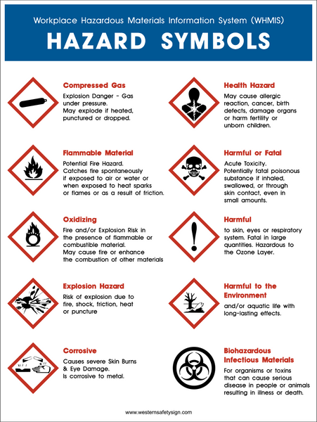 What Does Workplace Safety Mean What Does It Envolve / (PDF) Client ...