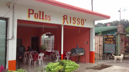 Risso