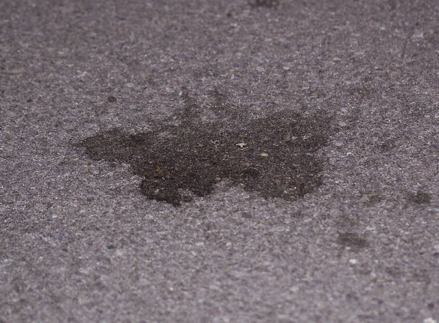 butterfly stain