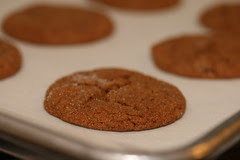 Food Librarian - Ginger Spice Cookies (Bon Appetit)