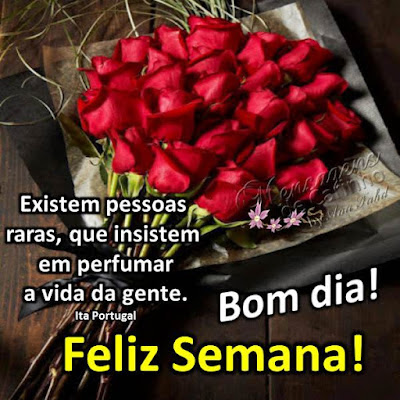 CD-Dt6nwVQbumqCYfIM4UuS5PcOGGtFWOu6sSbNv
