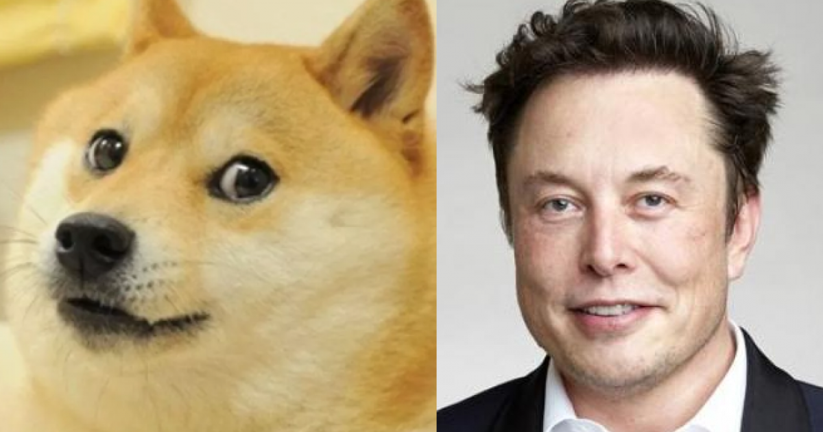 Elon Musk Walking Dogecoin Meme