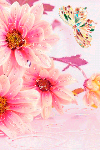 Цветы и бабочки