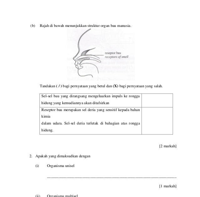 Contoh Soalan Dan Jawapan Kimia Kertas 3 Tingkatan 4 