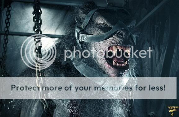Image hosting by Photobucket