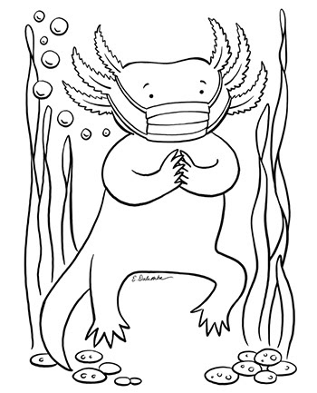 dulemba: Coloring Page Tuesday - Axolotl