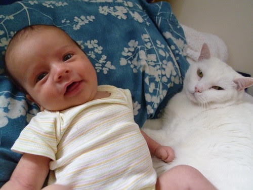 A Boy and His (Very Patient) Cat