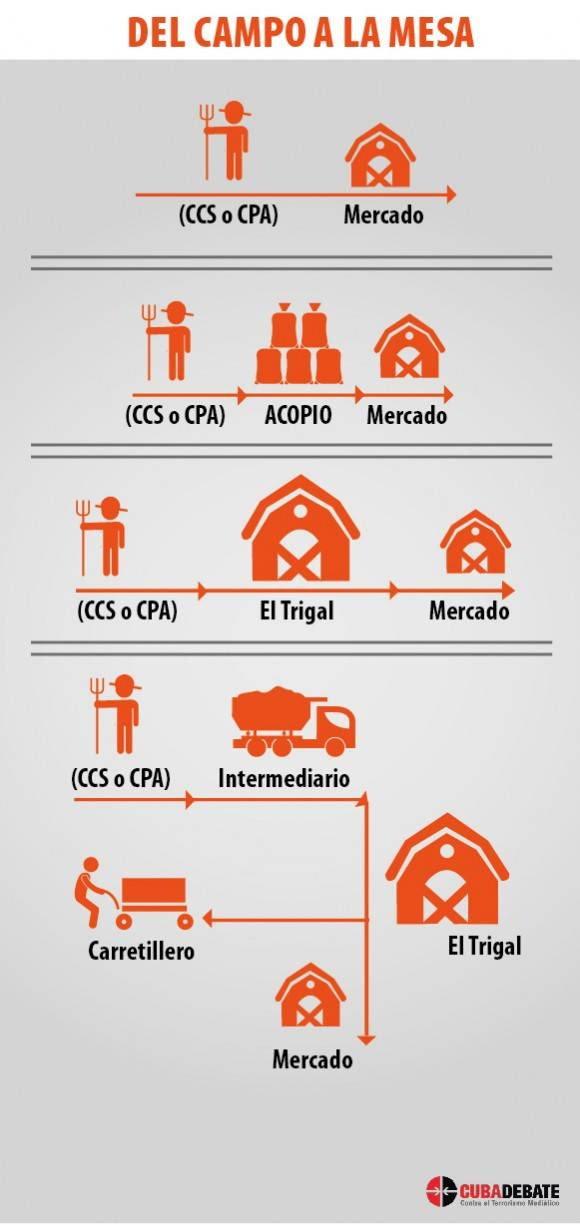 Infografía: Luis Amigo Vázquez.