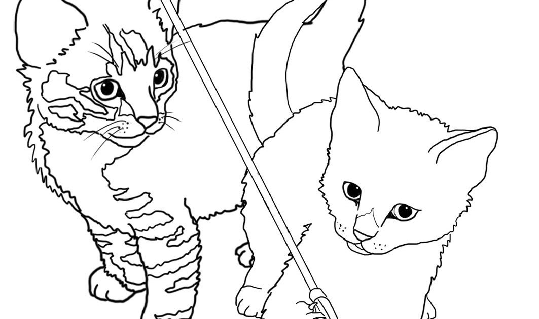 Snowshoe Cat Coloring Pages - Yvonne Martinelli's Coloring Pages