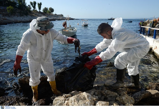 Αποτέλεσμα εικόνας για Γιατί εξαφανίστηκαν οι Οικολόγοι από΄το Σαρωνικό;