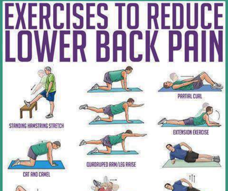  Back Workout Poster for Beginner