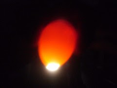 egg candleing