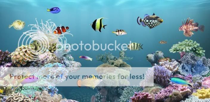 aquarium live wallpaper full apk