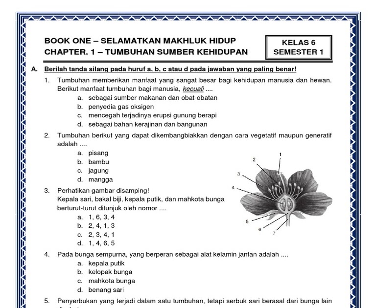 Contoh Soal Ipa Kelas 6 Semester 1 - Soal Kelasmu