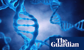 Google DeepMind AI tool assesses DNA mutations for harm potential