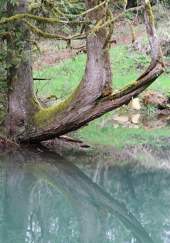 Naturewalk8