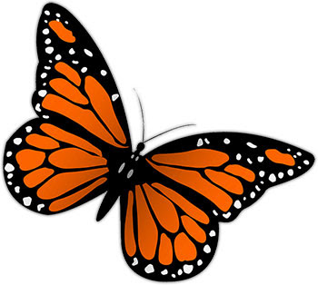 225 Svg Butterfly Animation SVG PNG EPS DXF File