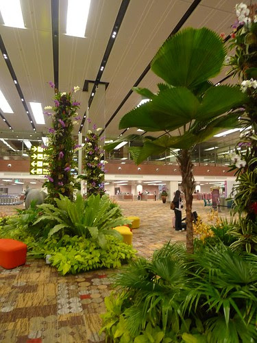 Experiential Marketing @ Changi Airport