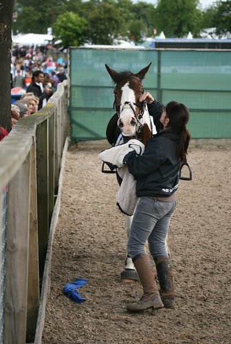Showjumping