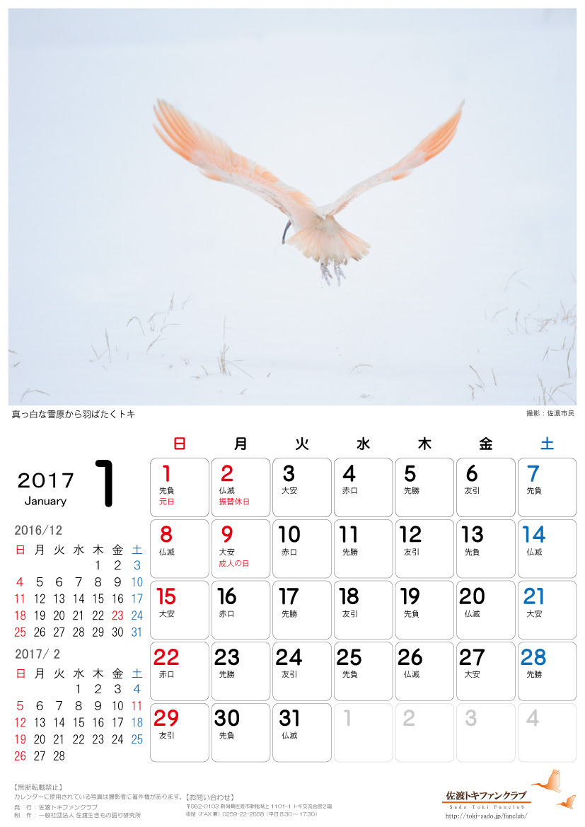 ベスト50 ２０１７ カレンダー 花の画像