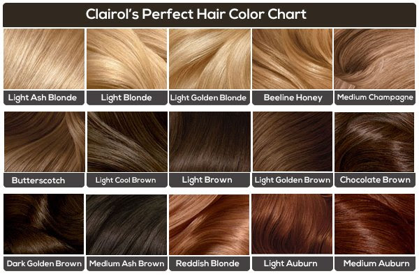 The 23 Best Brunette Hair Color Shades