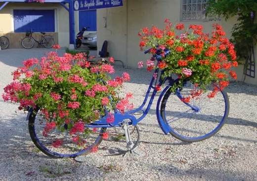 tripadvisor bicyclette bleu