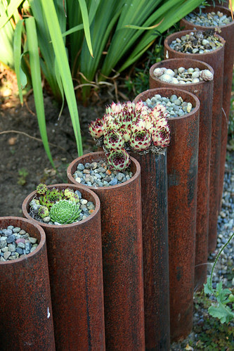 steel cylinders with plantings