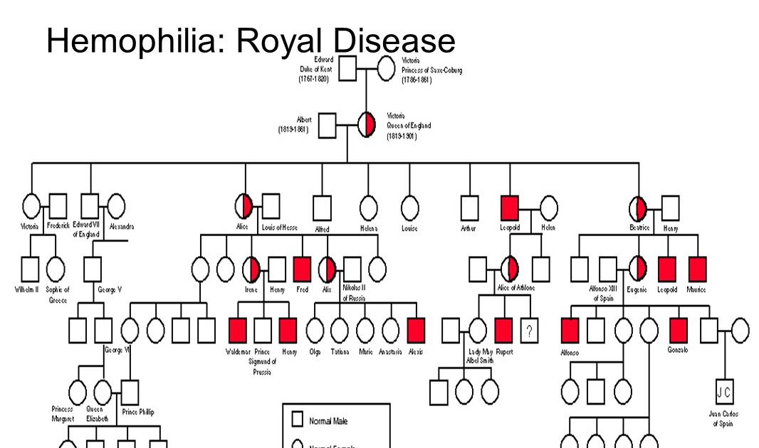 answer-key-pedigree-worksheet-3-hemophilia-the-royal-disease-answers-pedigree-worksheet-3